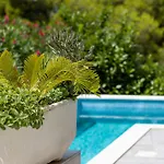 Villa Berfami Excelsior - Jacuzzi&Pool Villa *