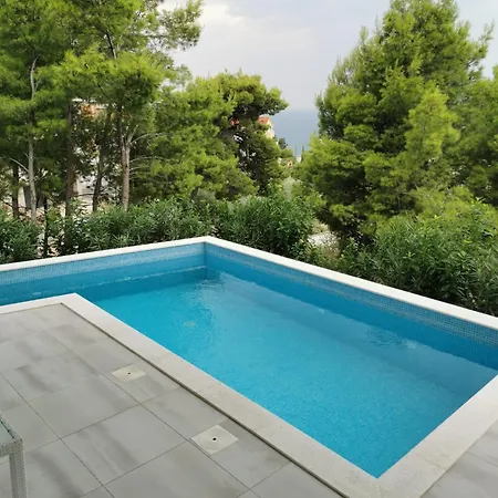 Berfami Excelsior - Crafted For Elites *