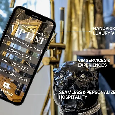 Berfami Excelsior - Crafted For Elites