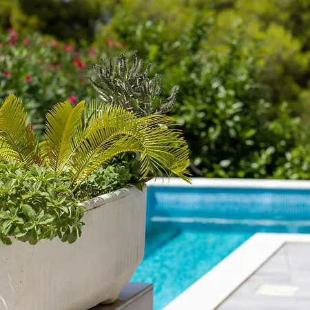 Berfami Excelsior - Crafted For Elites فيلة *