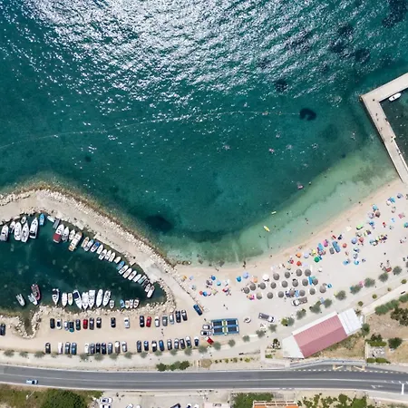 Berfami Excelsior - Crafted For Elites * 珀德垂那