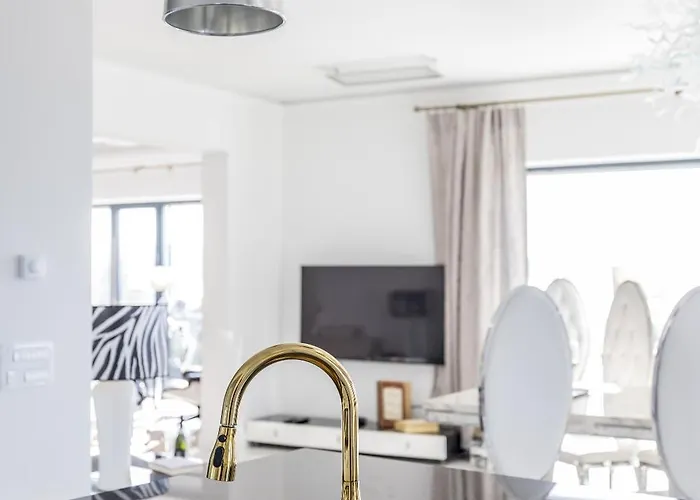 Berfami Excelsior - Crafted For Elites 珀德垂那