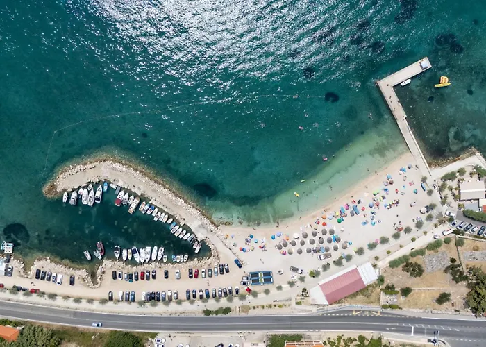 Berfami Excelsior - Crafted For Elites * 珀德垂那