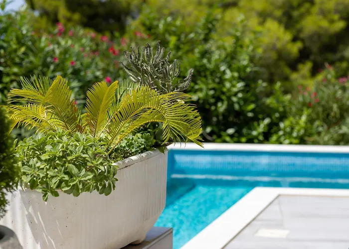 Berfami Excelsior - Crafted For Elites 别墅 *